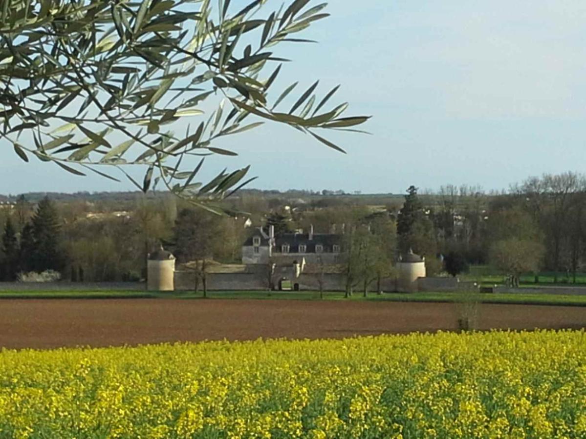 Au Grain D'Orge Vila Echire Exterior foto
